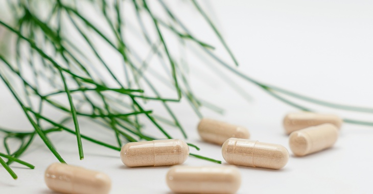 Ashwagandha – naturalne wsparcie w stresujących czasach Ashwagandha – naturalne wsparcie w stresujących czasach