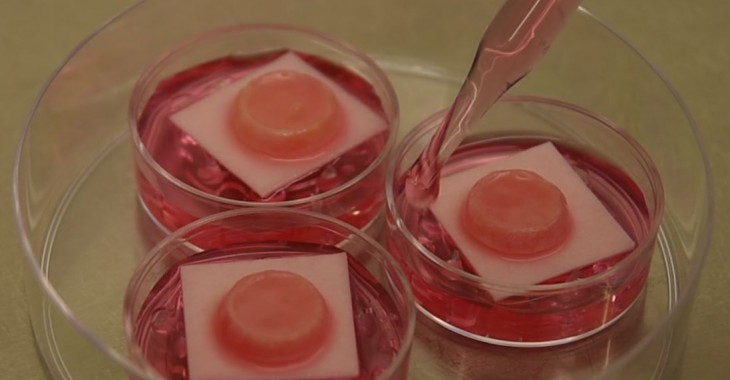 Henkel stworzył model skóry ludzkiej przeznaczony do testowania składników produktów Henkel stworzył model skóry ludzkiej przeznaczony do testowania składników produktów