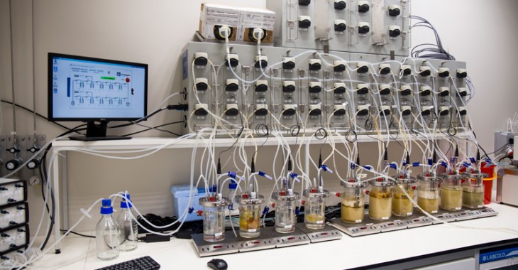 Sztuczny przewód pokarmowy w rękach naukowców z Olimp Labs Sztuczny przewód pokarmowy w rękach naukowców z Olimp Labs