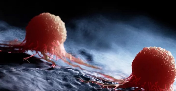 Nanocząstki skuteczne w walce z nowotworami?
