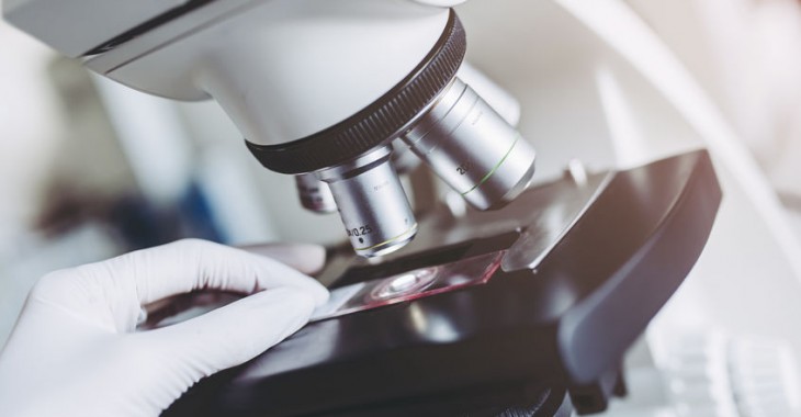 Wykazano skutecznośc leczenia profilaktycznego dot. wirusa HIV firmy ViiV Healthcare Wykazano skutecznośc leczenia profilaktycznego dot. wirusa HIV firmy ViiV Healthcare