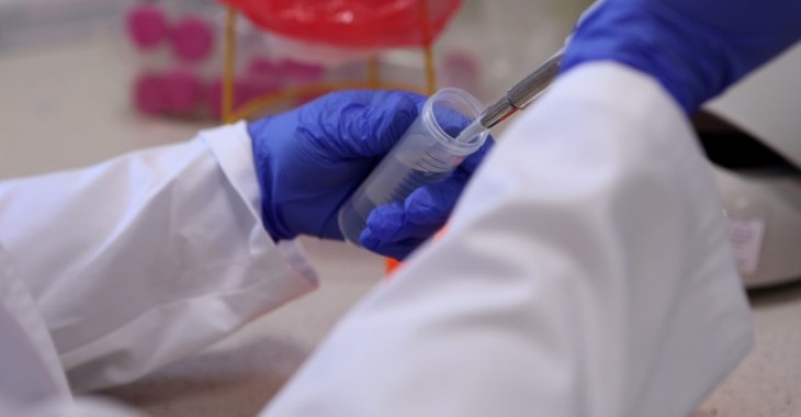 Biotechnologia zyskała na znaczeniu w czasie pandemii. Polskie firmy z branży łączą siły, żeby skuteczniej konkurować na globalnym rynku Biotechnologia zyskała na znaczeniu w czasie pandemii. Polskie firmy z branży łączą siły, żeby skuteczniej konkurować na globalnym rynku