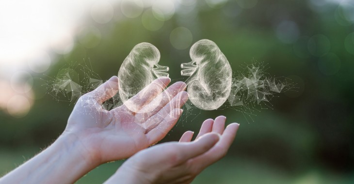 Pomoc dietetyka niezbędna przy nowej terapii przewlekłej choroby nerek Pomoc dietetyka niezbędna przy nowej terapii przewlekłej choroby nerek