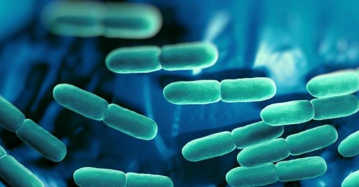 Suplementacja probiotyków nie tylko przy antybiotykoterapii